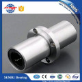 Low Temperature Germany Rexroth Linear Ball Bearing (R067102500)